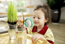 Cá tính sáng tạo học sinh Sakura Montessori được phát triển như thế nào?