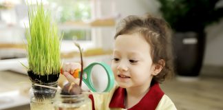 Cá tính sáng tạo học sinh Sakura Montessori được phát triển như thế nào?