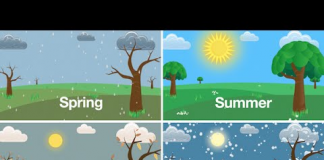 Dạy trẻ học Tiếng Anh qua bài hát với top 10 bài nhạc hấp dẫn nhất