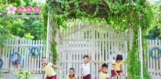 Hành trình phát triển của Sakura Montessori tại Hải Phòng