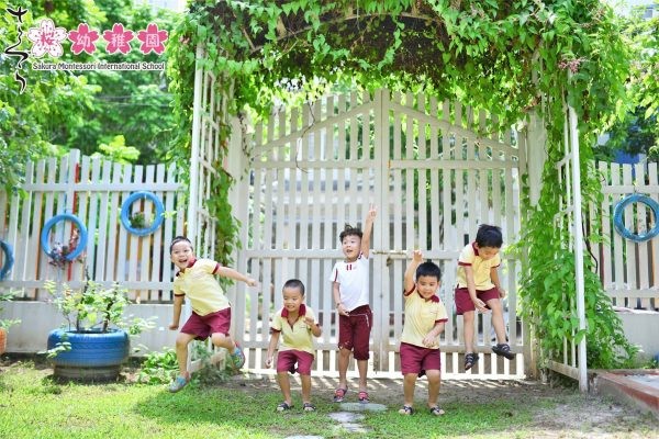 Hành trình phát triển của Sakura Montessori tại Hải Phòng