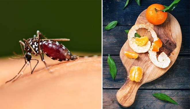 Ba mẹ đã biết: Bí kíp giúp bé khỏe mạnh trong mùa hè này?