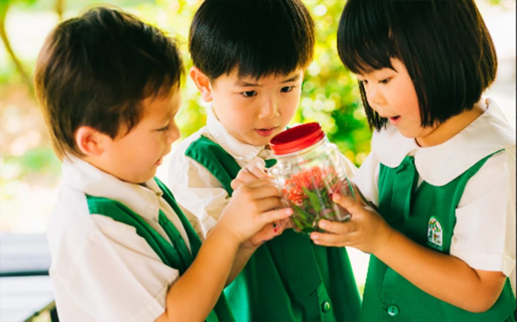 Trường mầm non quốc tế ở quận 2, Kinderland Trường mầm non quốc tế ở quận 2, Kinderland