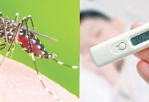 Sốt xuất huyết đang vào mùa, ba mẹ và các bé hãy cẩn trọng nhé!