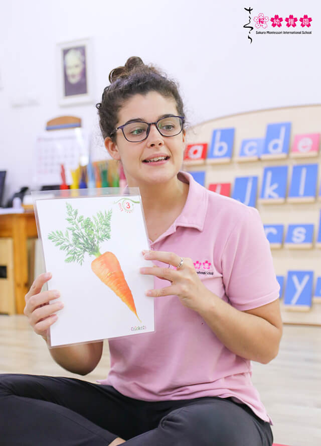 Giáo viên tiếng Anh sử dụng các hình ảnh để giới thiệu cho trẻ về từ vựng