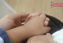 Sakura, chàng trai ấy và tôi