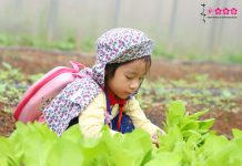 Trường Montessori: Không chỉ dạy chương trình quốc tế mà còn dạy kỹ năng sống