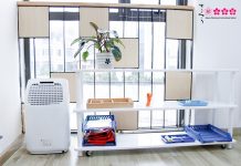 Sakura Montessori trang bị máy lọc không khí tại các cơ sở trường trên địa bàn Hà Nội