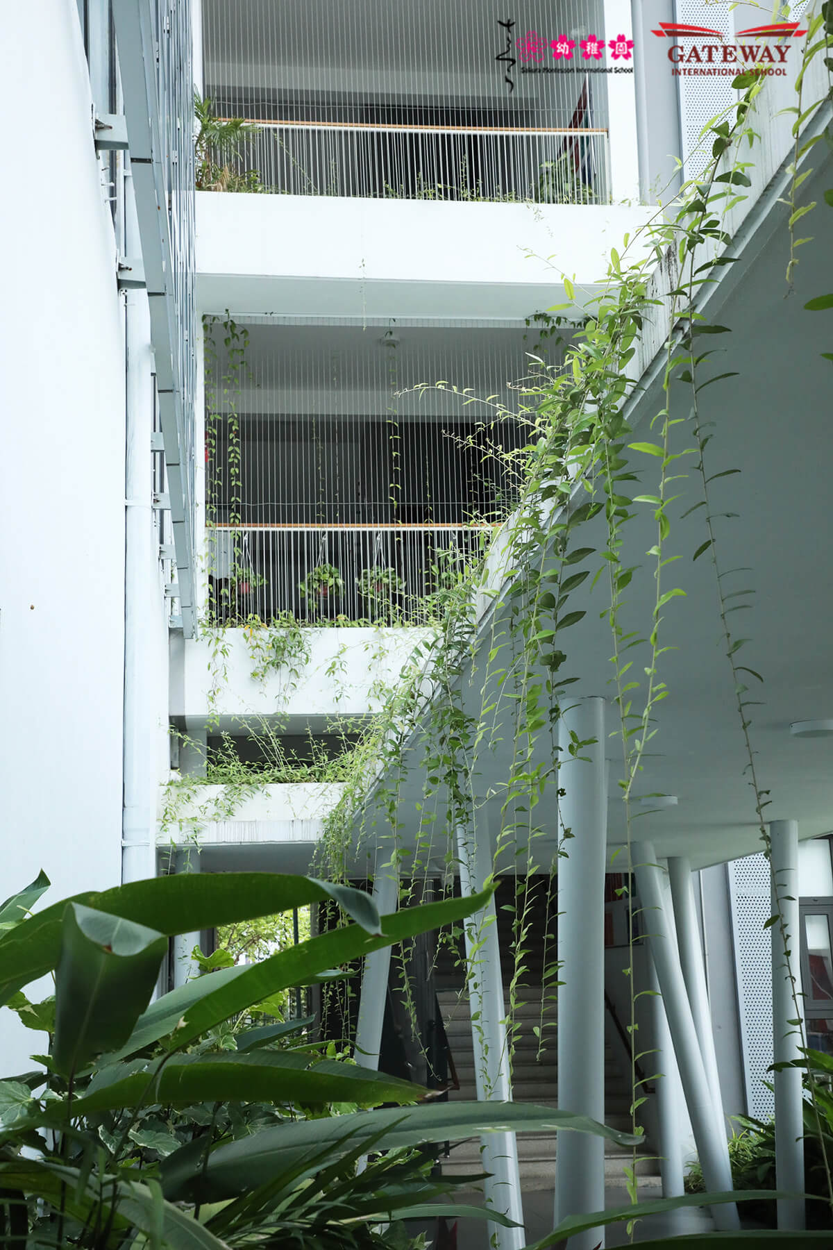 Gateway, Sakura Montessori Hải Phòng nhận chứng chỉ công trình xanh EDGE