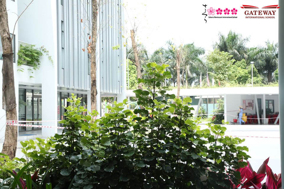 Gateway, Sakura Montessori Hải Phòng nhận chứng chỉ công trình xanh EDGE