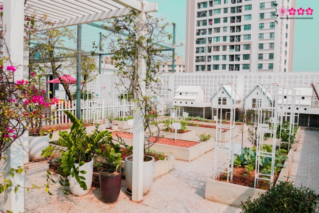 Nuôi dưỡng tâm hồn trẻ thơ bằng việc cùng con trồng rau, làm vườn!