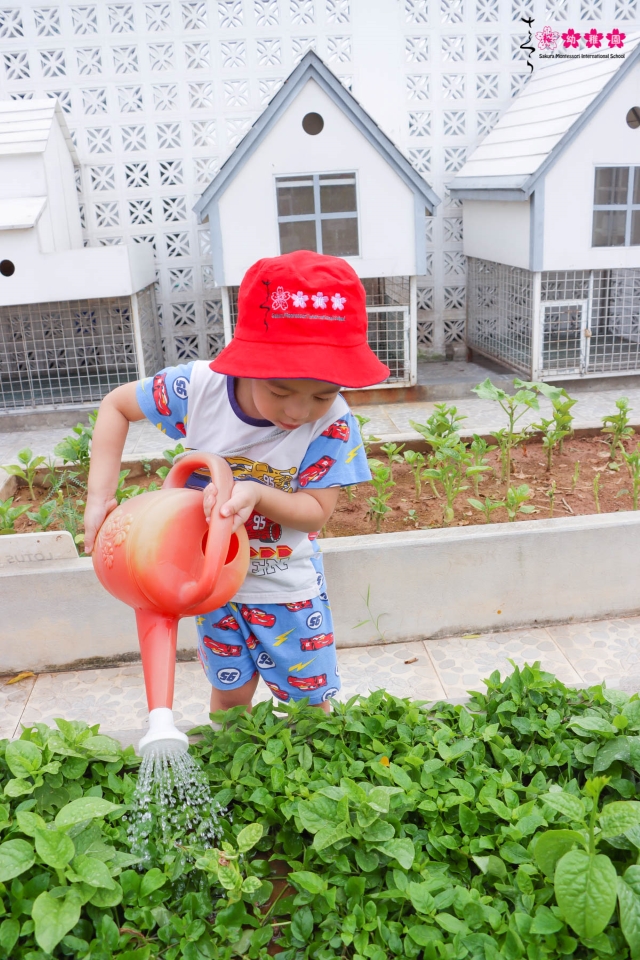 Nuôi dưỡng tâm hồn trẻ thơ bằng việc cùng con trồng rau, làm vườn!