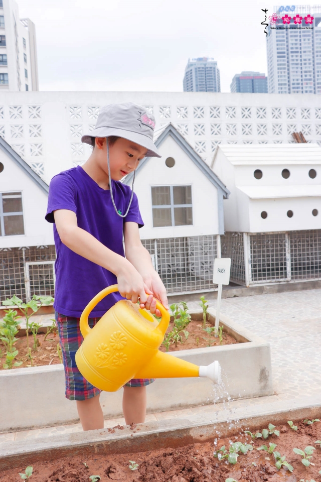 Nuôi dưỡng tâm hồn trẻ thơ bằng việc cùng con trồng rau, làm vườn!