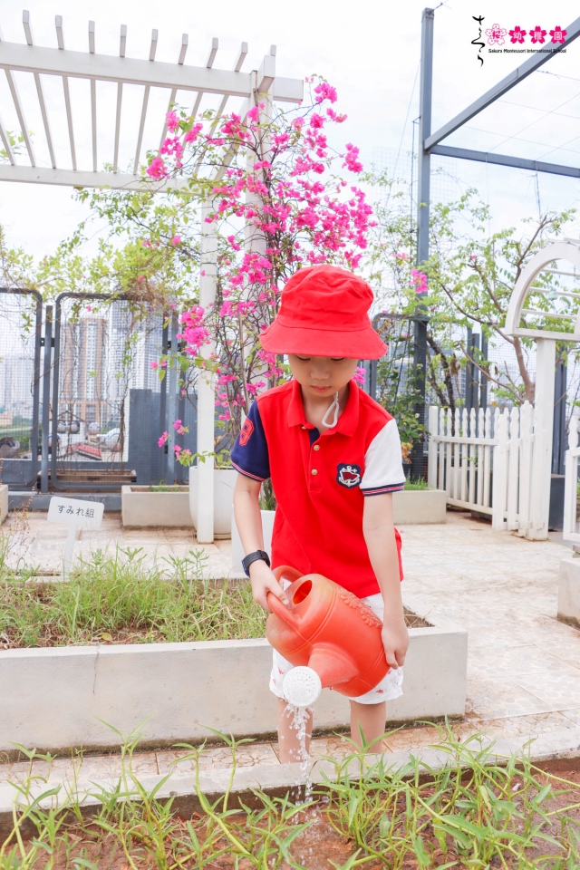 Nuôi dưỡng tâm hồn trẻ thơ bằng việc cùng con trồng rau, làm vườn!