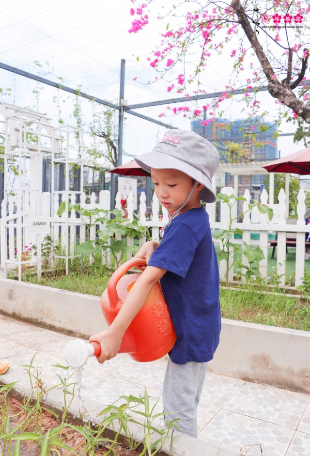 Nuôi dưỡng tâm hồn trẻ thơ bằng việc cùng con trồng rau, làm vườn!